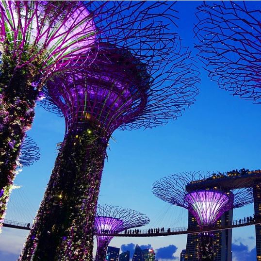 supertrees de singapur